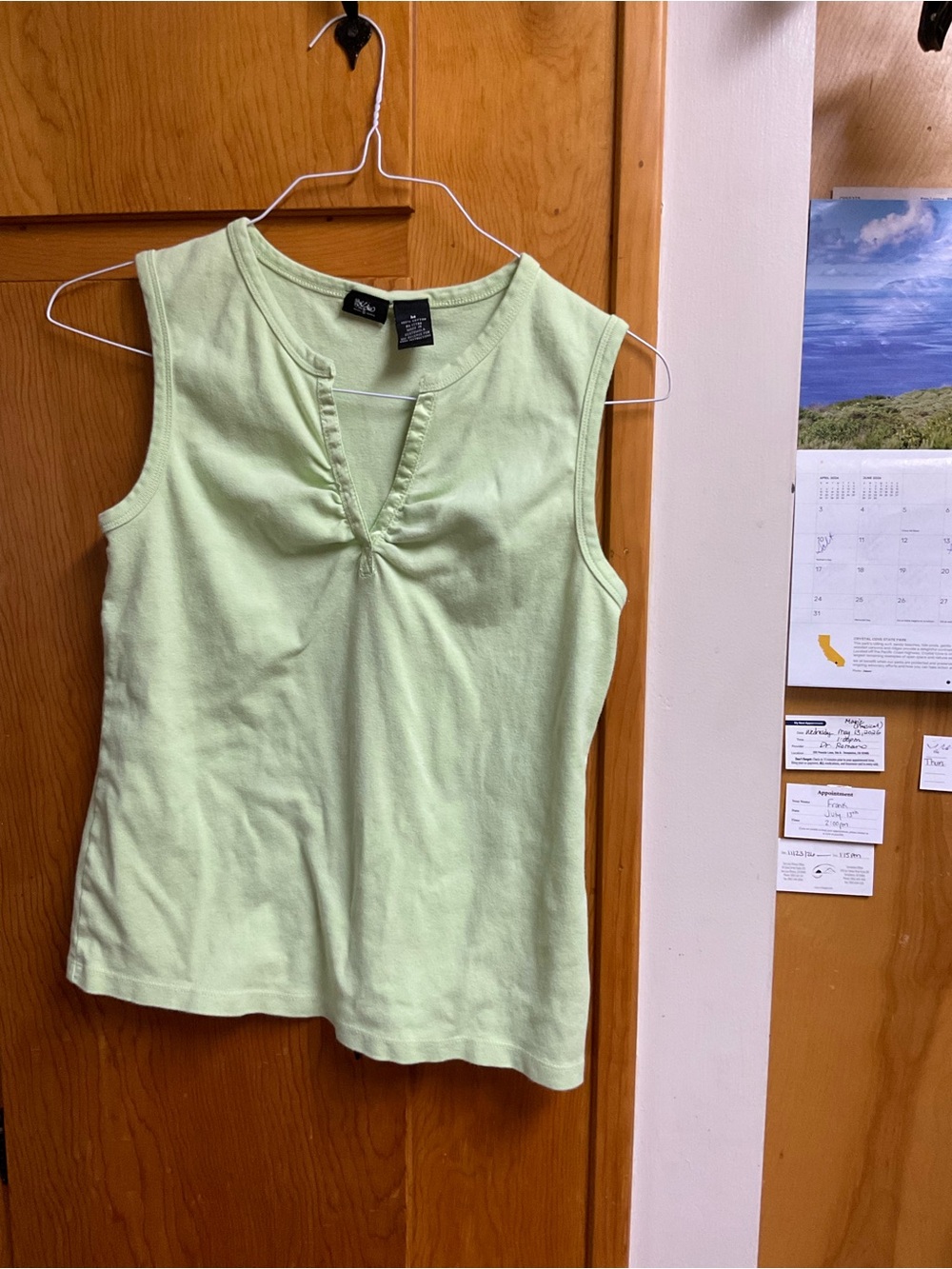 Style & Co. Mint Green Sleeveless Knit Tank with V-Notch